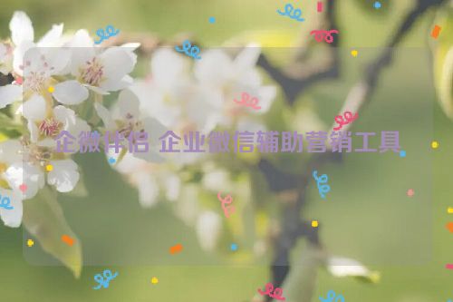 企微伴侣 企业微信辅助营销工具
