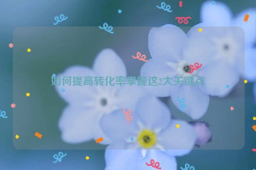 如何提高转化率掌握这2大关键点